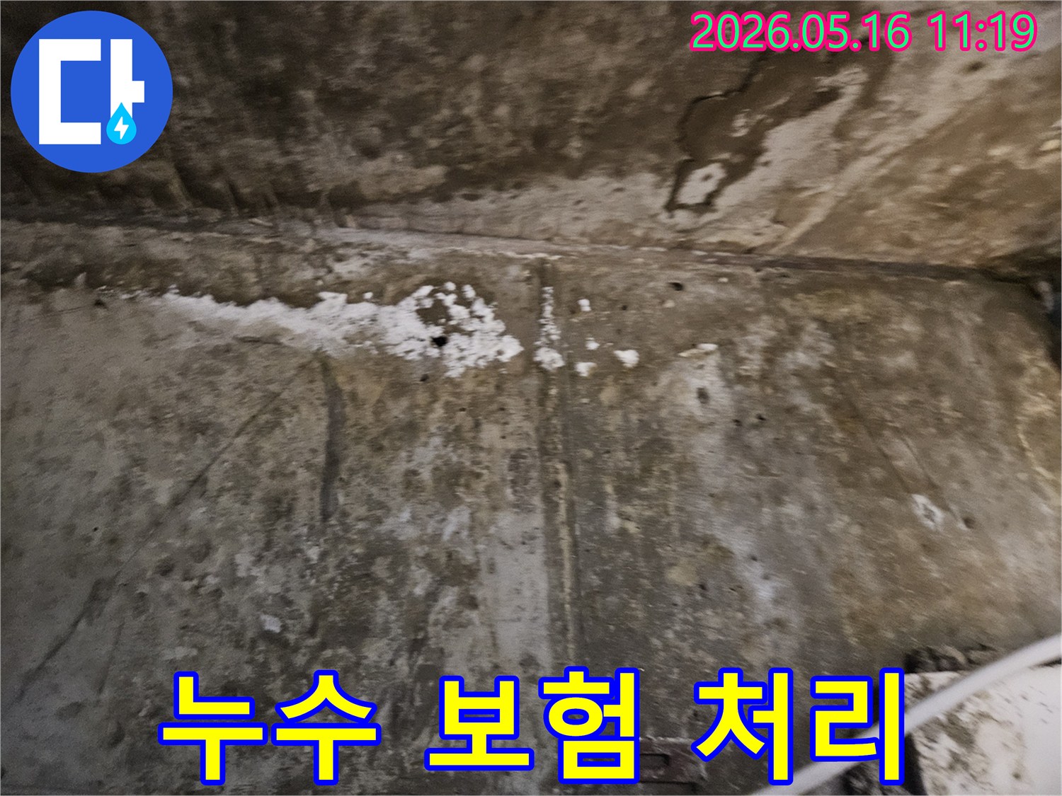 누수로 인해-심하게 손상된-벽면의 모습을-누수 보험 처리를 위해-기록하는 장면