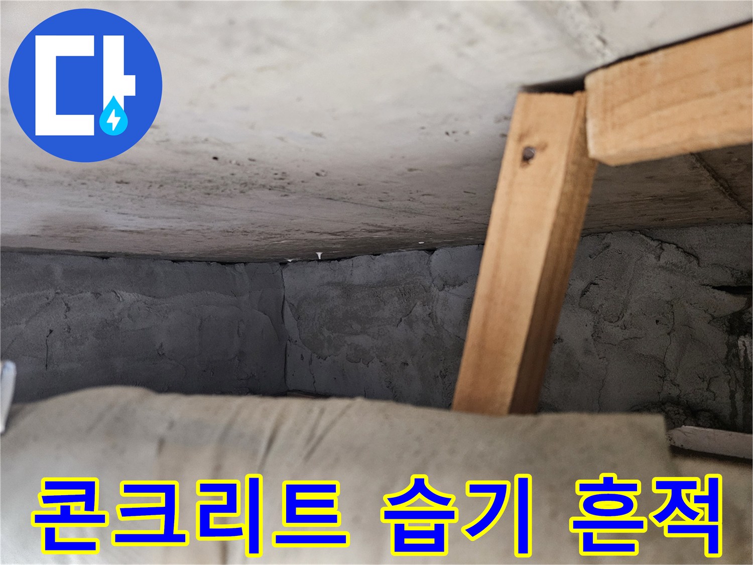 습기를-머금은-천장-내부-구조물-사진
