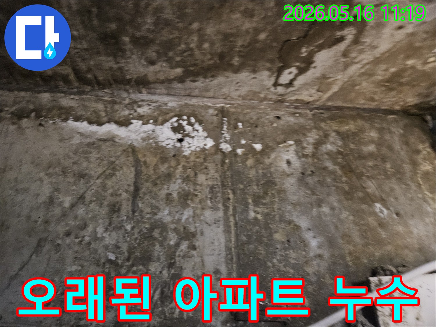 오래된 아파트의-벽면에서 발생한-누수로 인한-심각한 곰팡이와-백화 현상