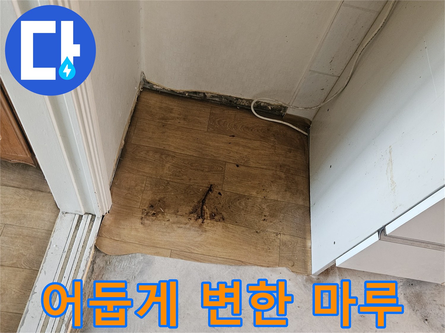 강동구 현장-배관 누수로 인해 젖은 상태의 마루 바닥