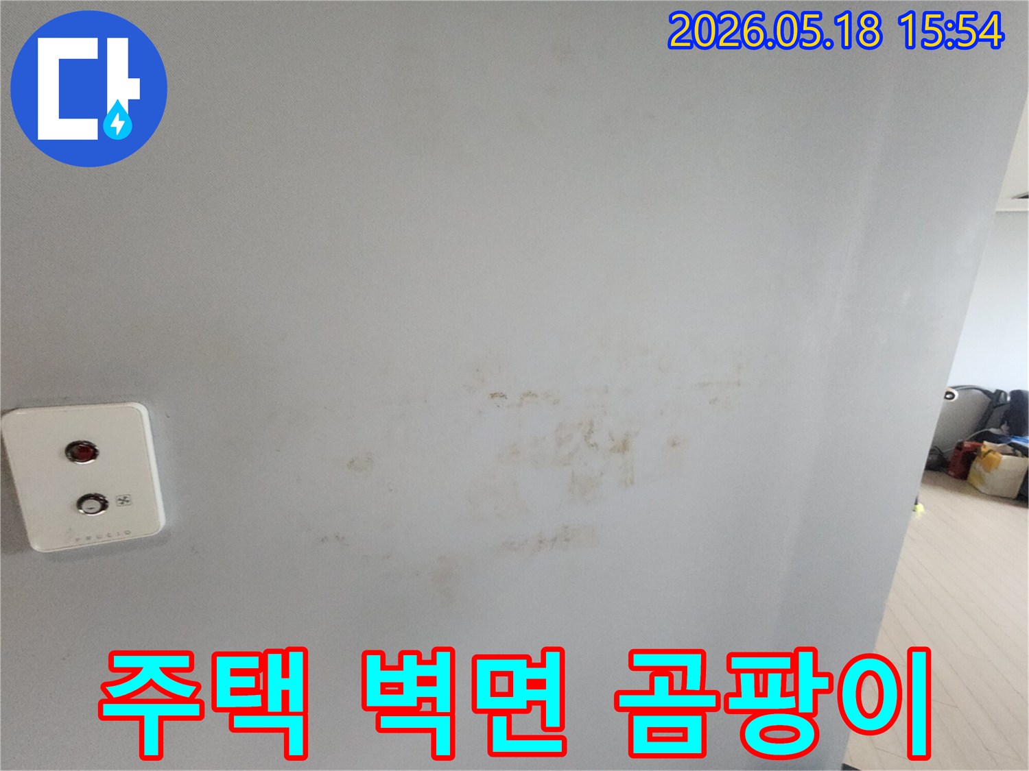 주택-벽에-생긴-곰팡이와-물-자국은-내부-누수의-징후로-정밀한-탐지가-필요합니다
