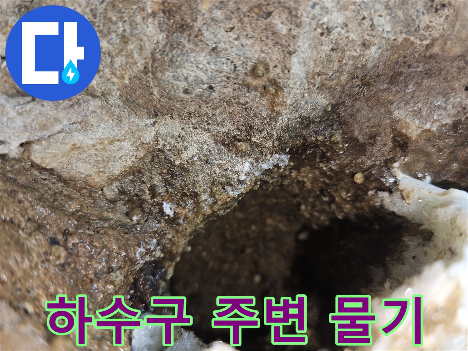 배수구 하단-물기가 머물러 있는 배관 주변부