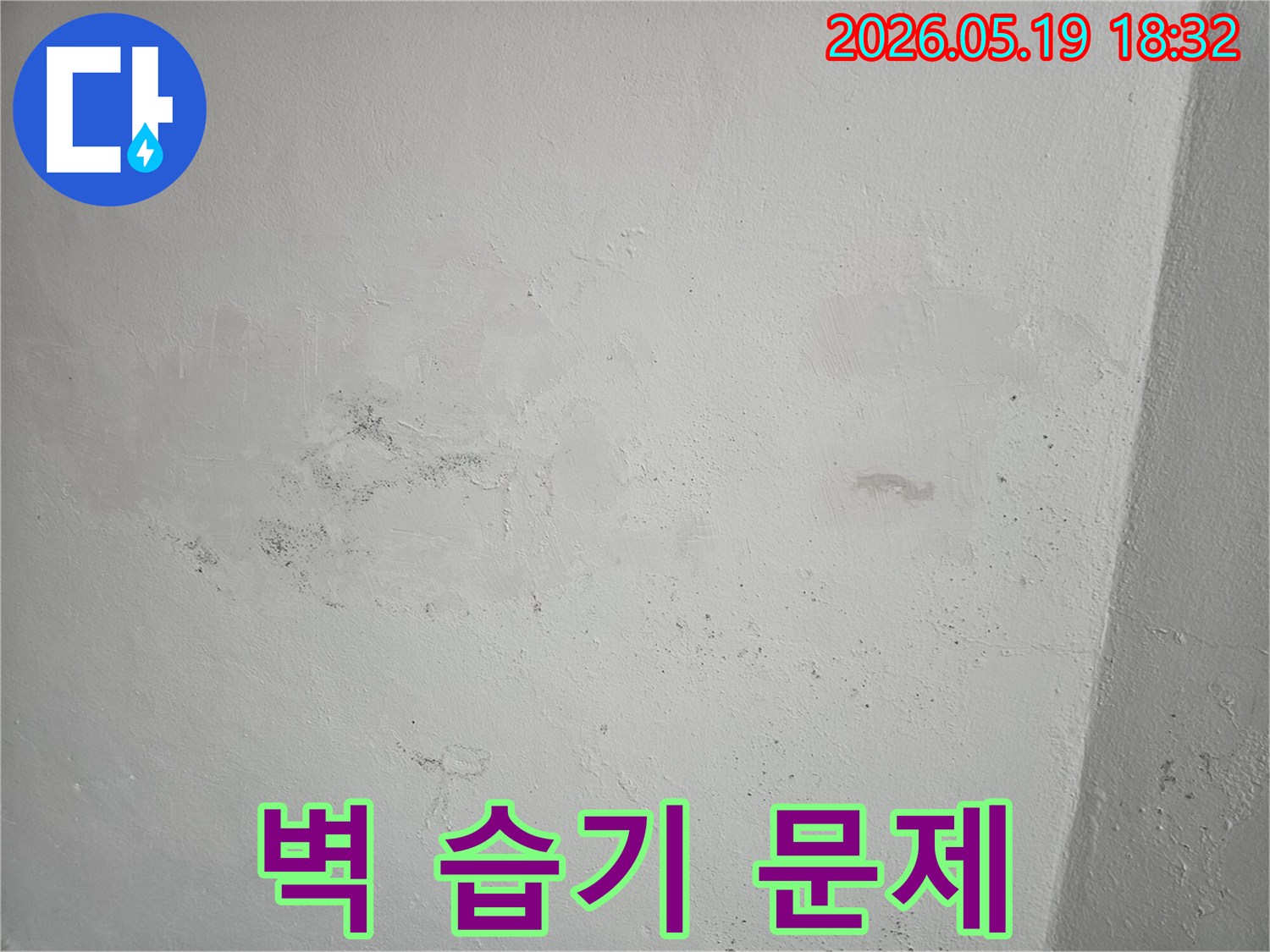 벽면의-습기-침투로-인한-얼룩과-곰팡이-발생-상황을-정확히-보여주는-사진