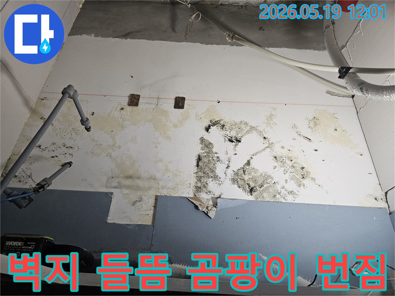 누수로-인해-벽지가-들뜨고-곰팡이가-심하게-번진-벽면의-손상-상태를-보여주는-이미지