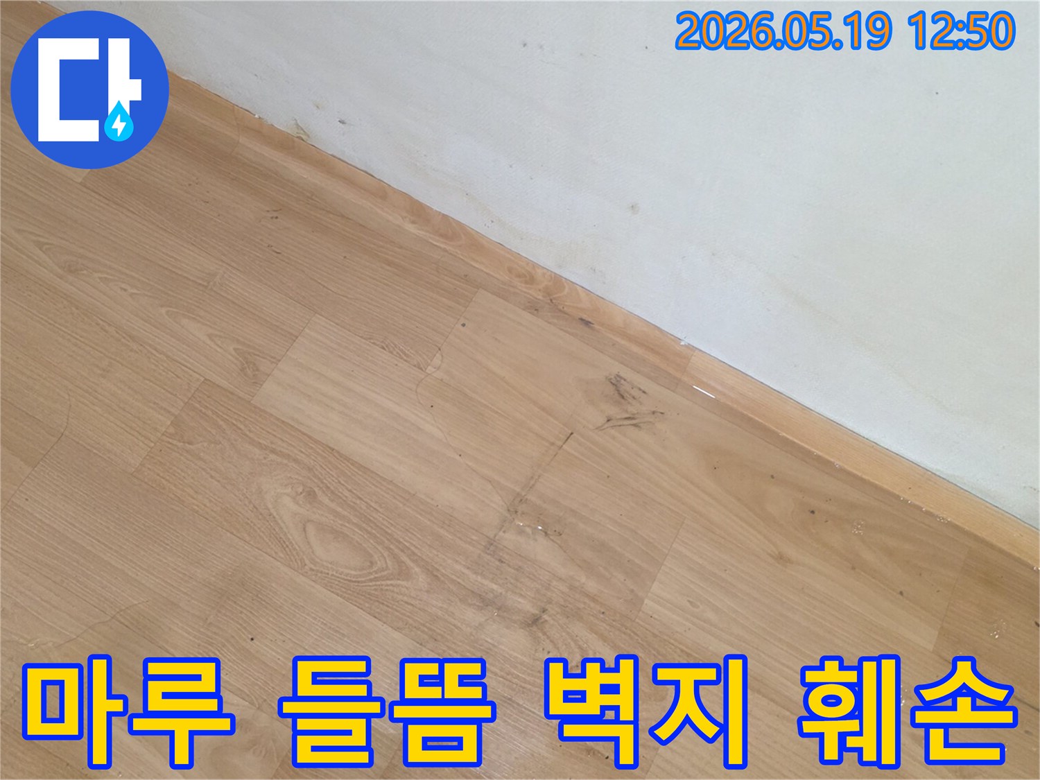 누수로 인해 마루 바닥이 들뜨고 벽면 하단에 물이 스며들어 변색된 현장 모습입니다