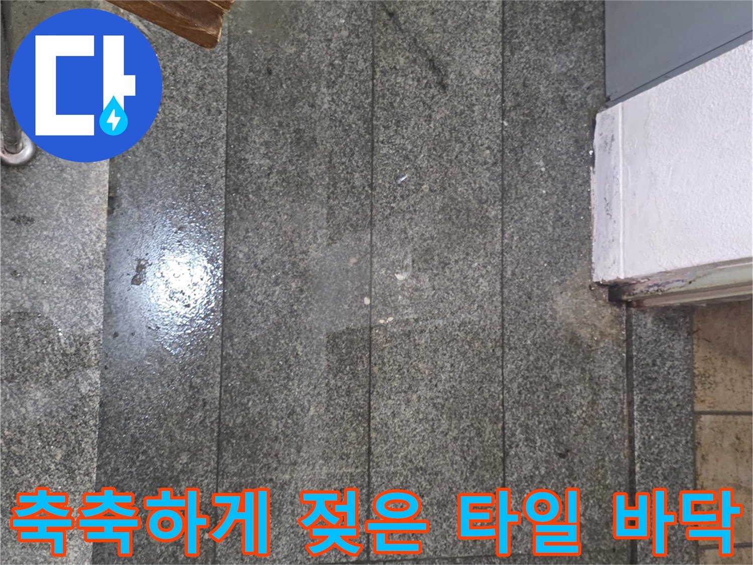 물기가 배어 나와 변색된 현관 바닥 타일 면