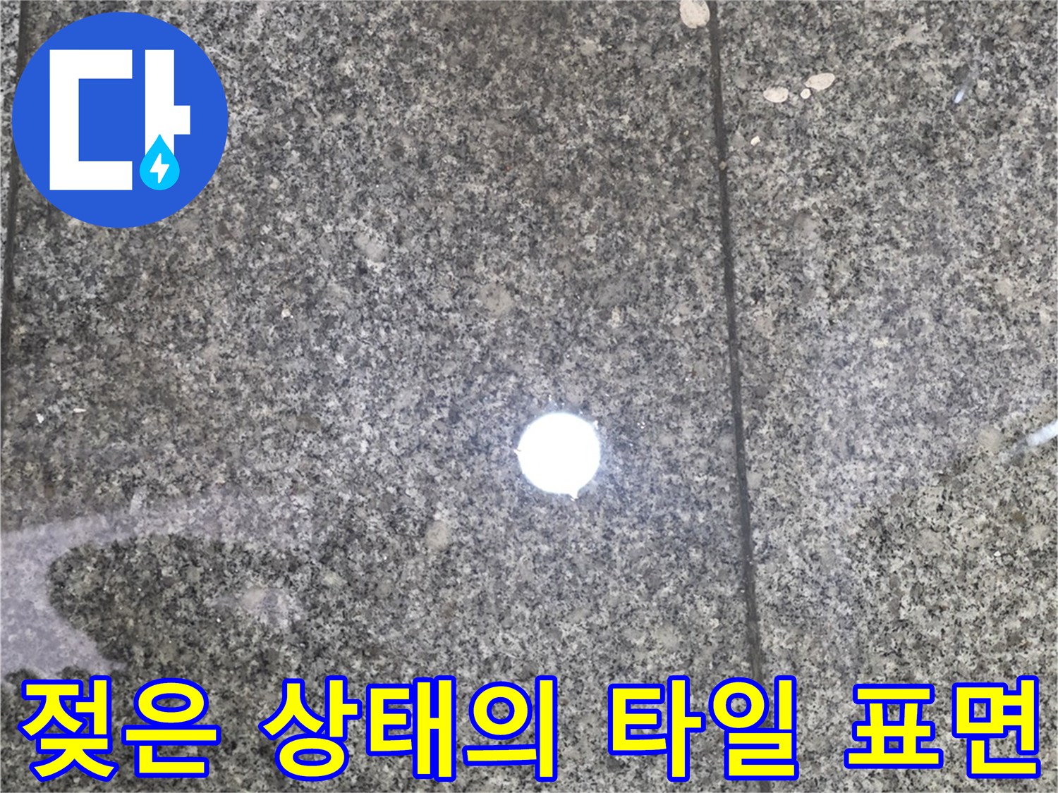 물기가 스며들어 축축해진 현관 바닥재