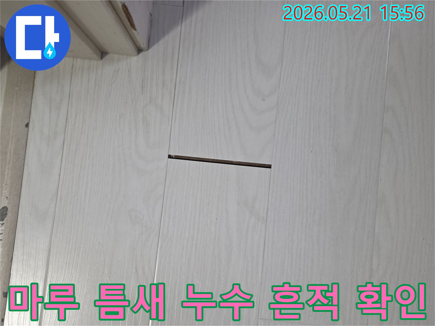 누수-탐지를-위해-마루-바닥에-생긴-틈새를-확인하는-모습