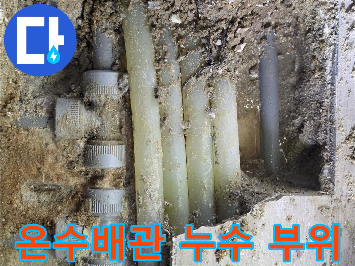 덕양구-지하세대-온수배층-배관-누수-발견-현장