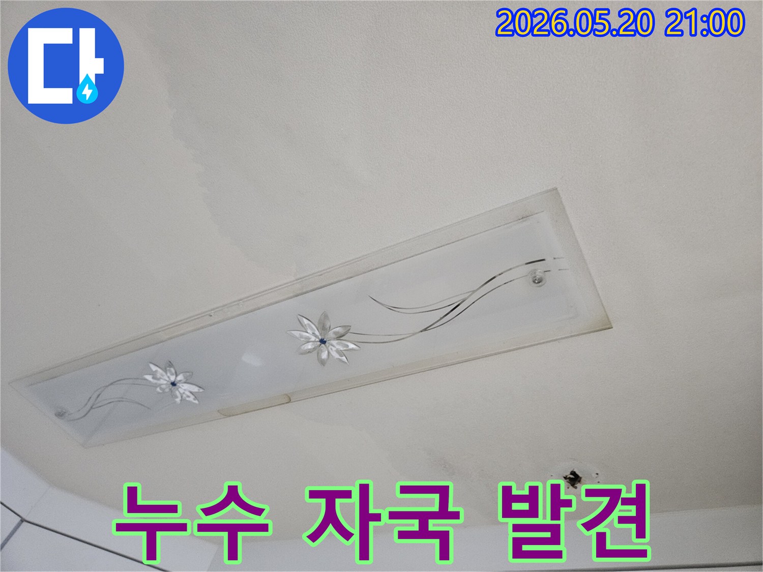 윗집 누수로 인한-천장 물샘-젖은 벽지-누수 원인 파악 중