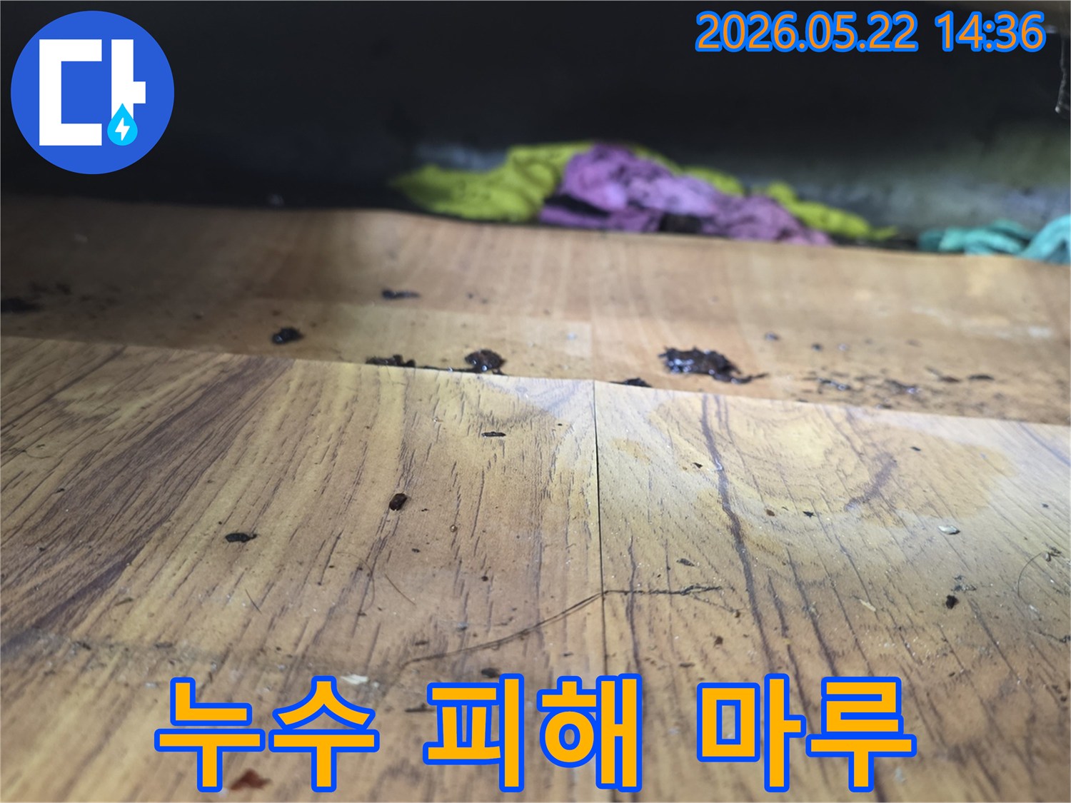 바닥 마루 틈새로-물이 올라와-변색과 들뜸이 발생했습니다