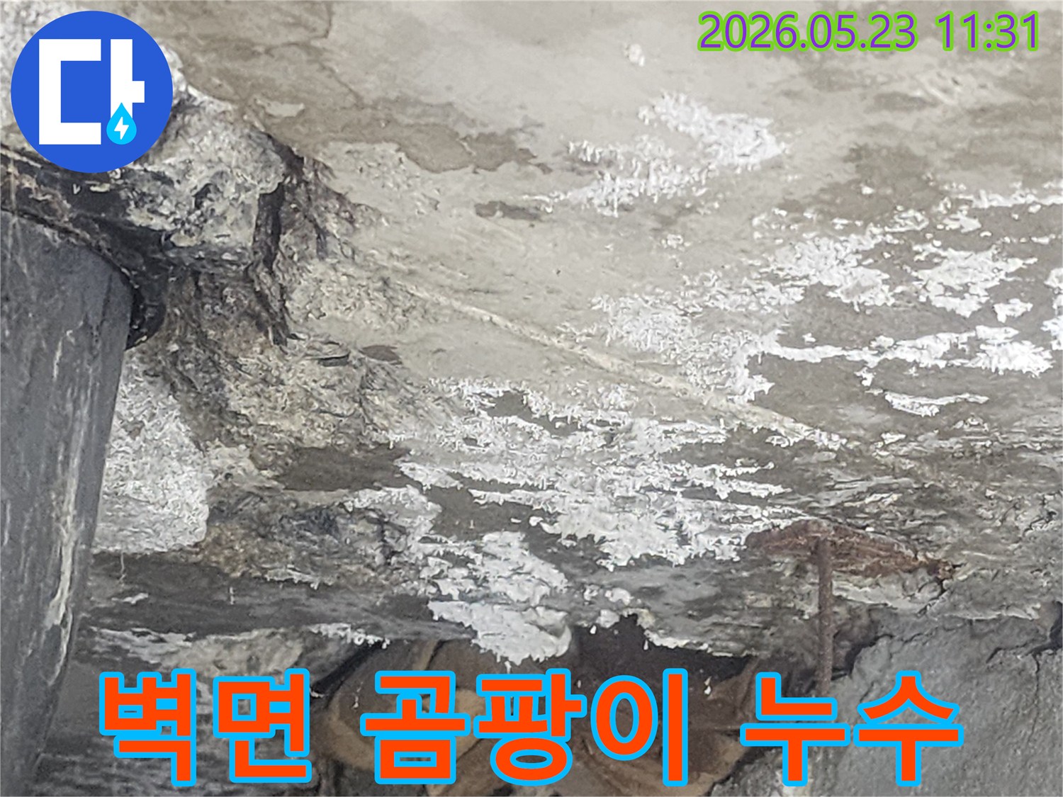벽면의-곰팡이와-백화현상은-누수로-인한-습기-문제의-증거이며-제거와-방지가-필요합니다.
