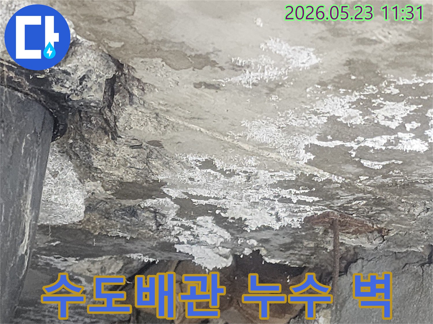 수도배관-누수로-인해-벽면으로-물이-침투하여-백화현상이-발생했으며-긴급-조치가-필요합니다.