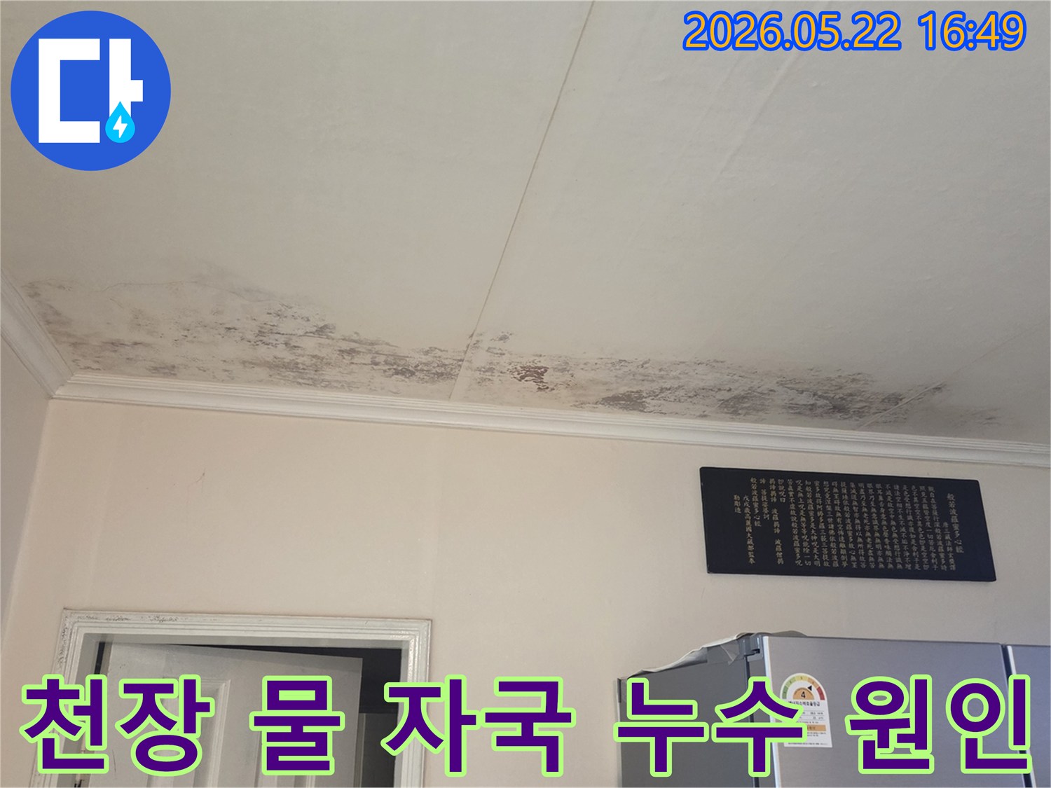 누수 원인 파악을 위해-천장의 곰팡이와-물 자국을-면밀히 검토하는-사진입니다