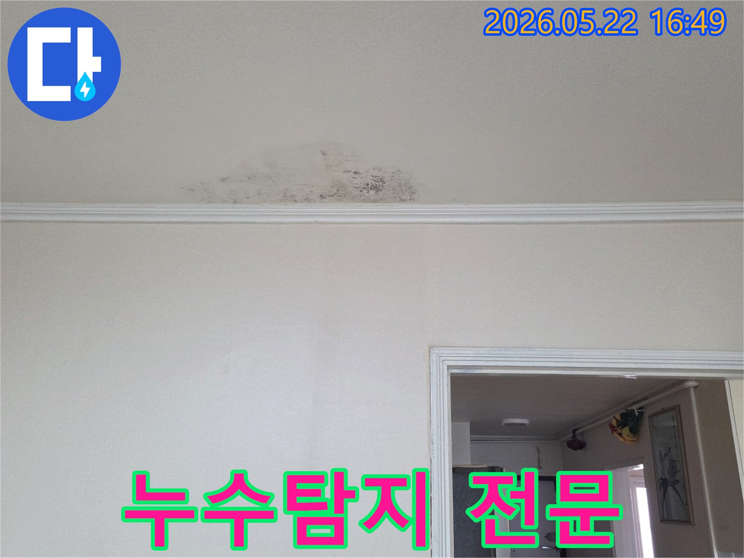 동두천-생연주공아파트-천장에-누수가-발생하여-물자국과-곰팡이가-생긴-현장을-누수탐지-전문가가-정밀하게-점검하는-모습