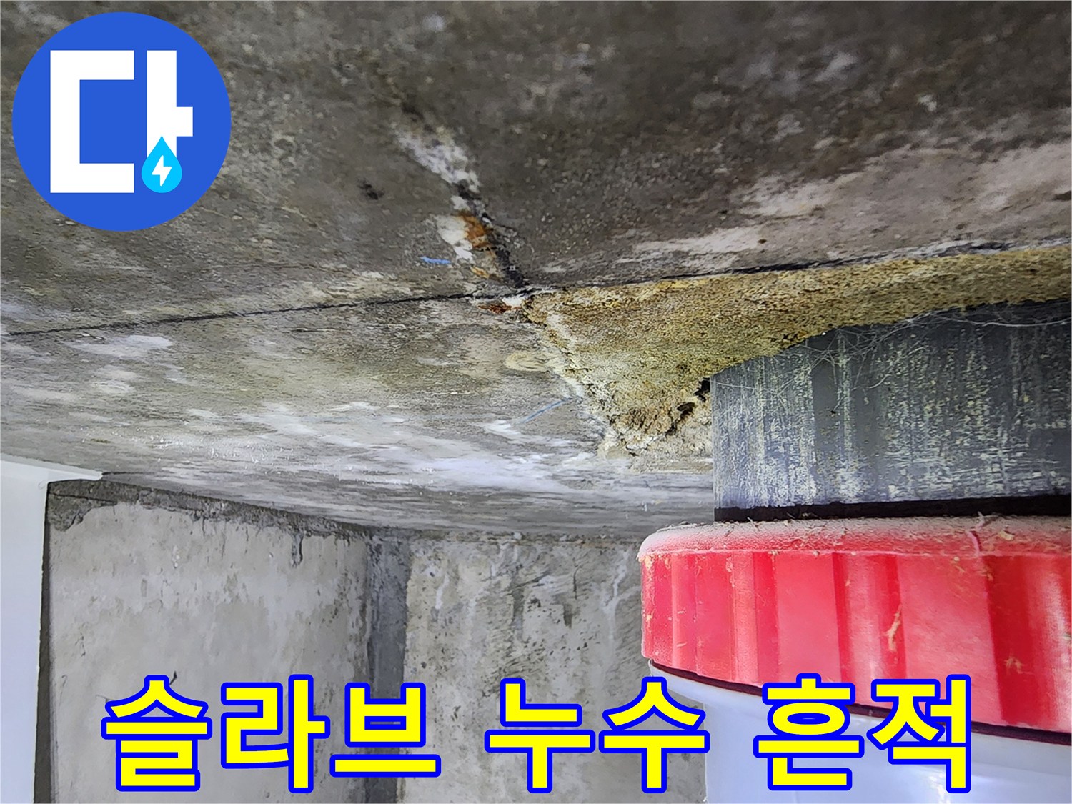 배관-주변-콘크리트-슬라브-습기-및-얼룩