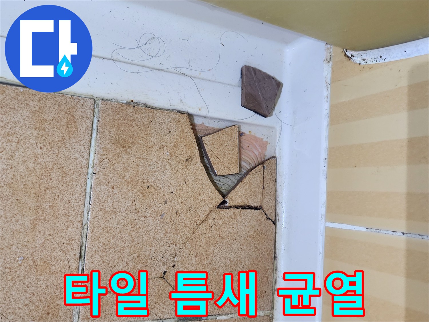 화장실-바닥-타일-파손-및-균열-부위