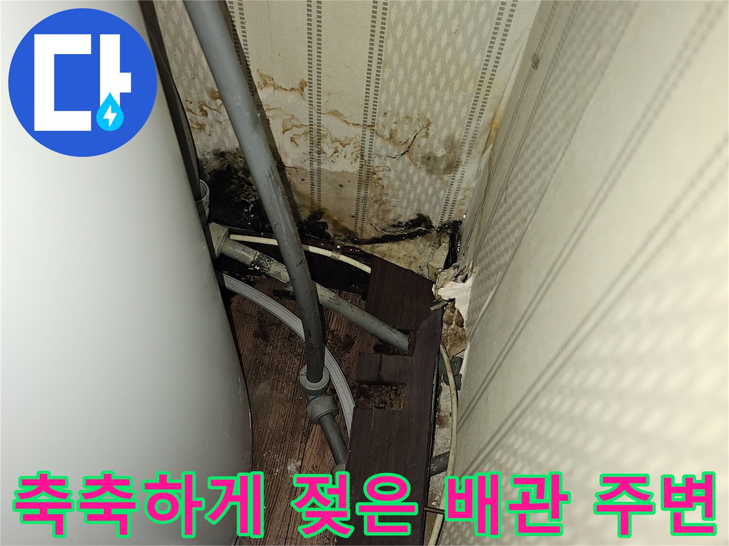 물샘 현상이 관찰되는-온수기 연결 배관 부위