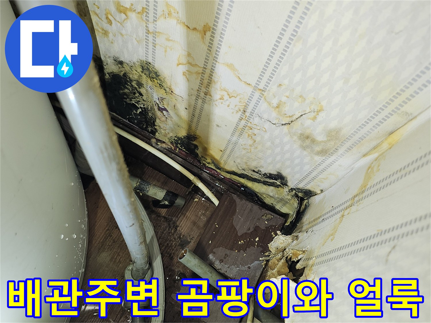 온수기 배관 연결 부위의 곰팡이와 벽지 오염 상태