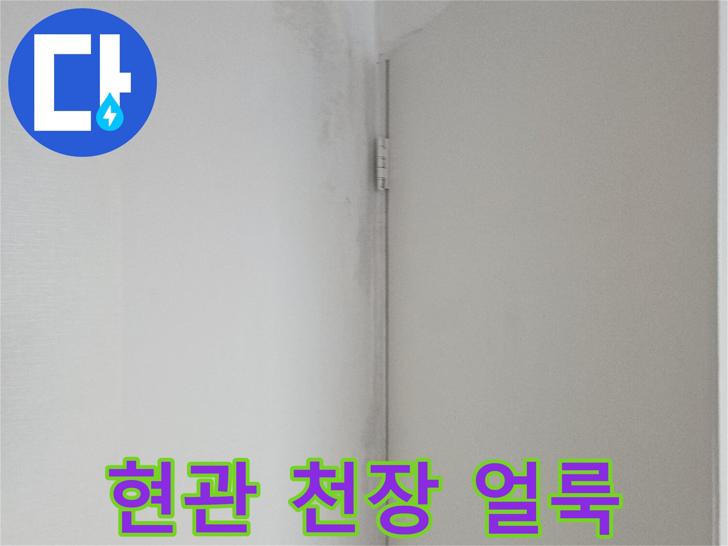 양천구 현관 천장 부위의 누수 흔적 및 습기 상태를 보여주는 사진입니다.
