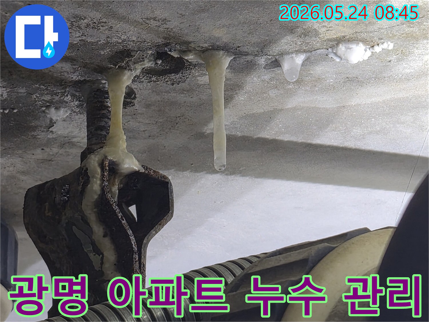 경기-광명시-아파트-천장에서-누수로-인해-고드름이-발생한-진단부터-사후-관리까지-필요-현장