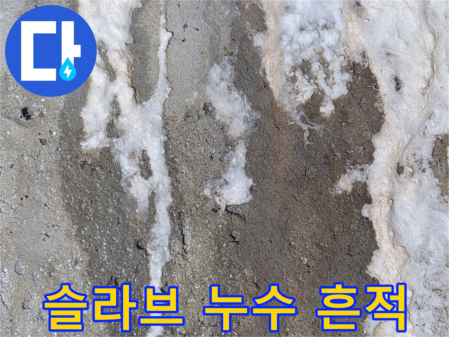 콘크리트 슬라브 표면의 하얀 석회질 누수 자국