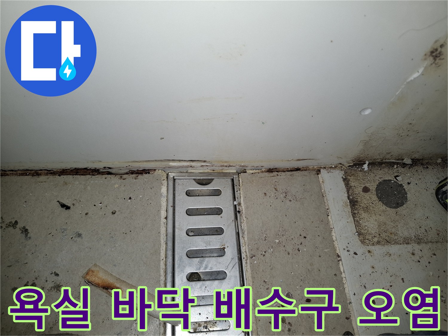 광명 목감동 현장-배수구 주변의 젖은 타일과 변색된 흔적