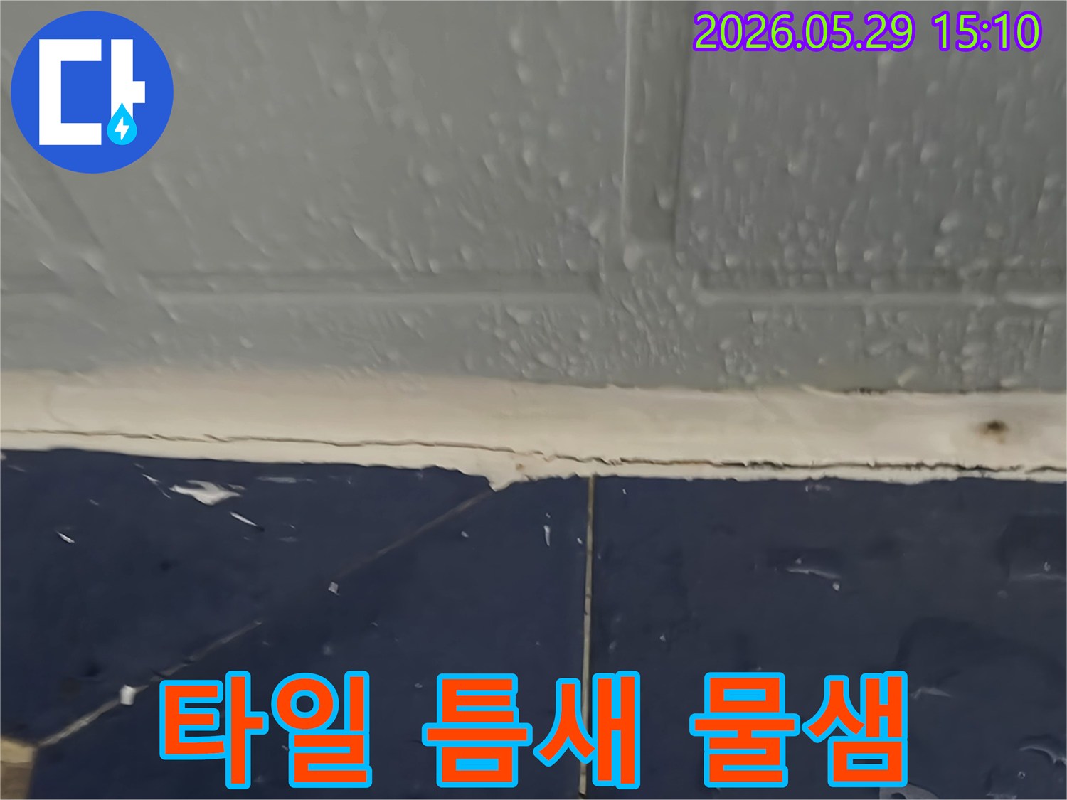욕실 타일 틈새-물이 스며들어 물방울이 맺힌 모습-누수 전문가가 해결 방안을 제시 중