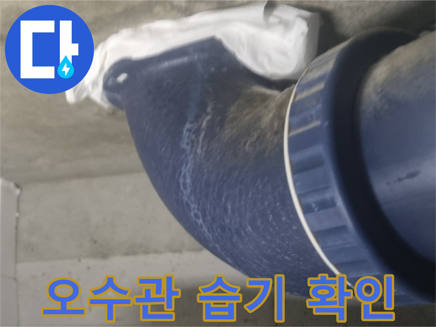 종암동 현장 사진-축축하게 젖어 있는 파란색 오수 배관
