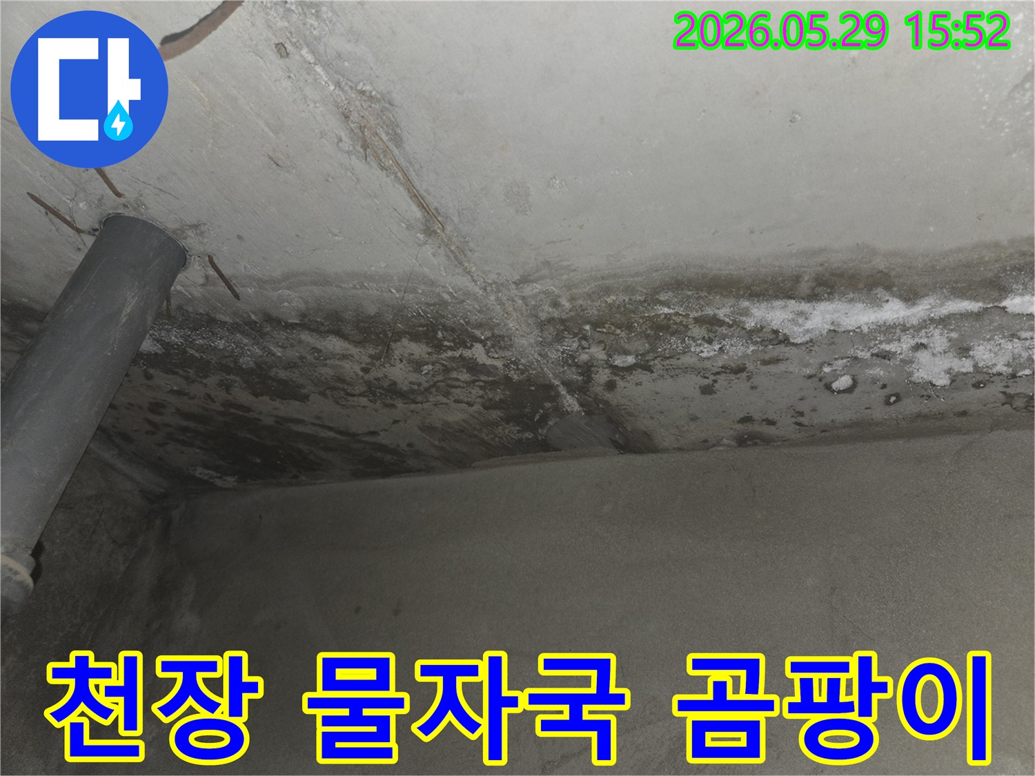 노원구-아파트-천장에-발생한-물자국과-곰팡이-문제를-해결하기-위해-현장을-정밀-진단하는-모습