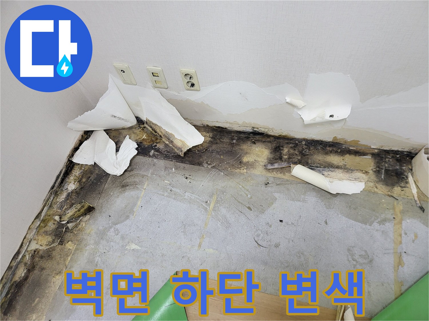 벽면 아래쪽-습기로 인해 훼손된 벽지와 곰팡이 분포