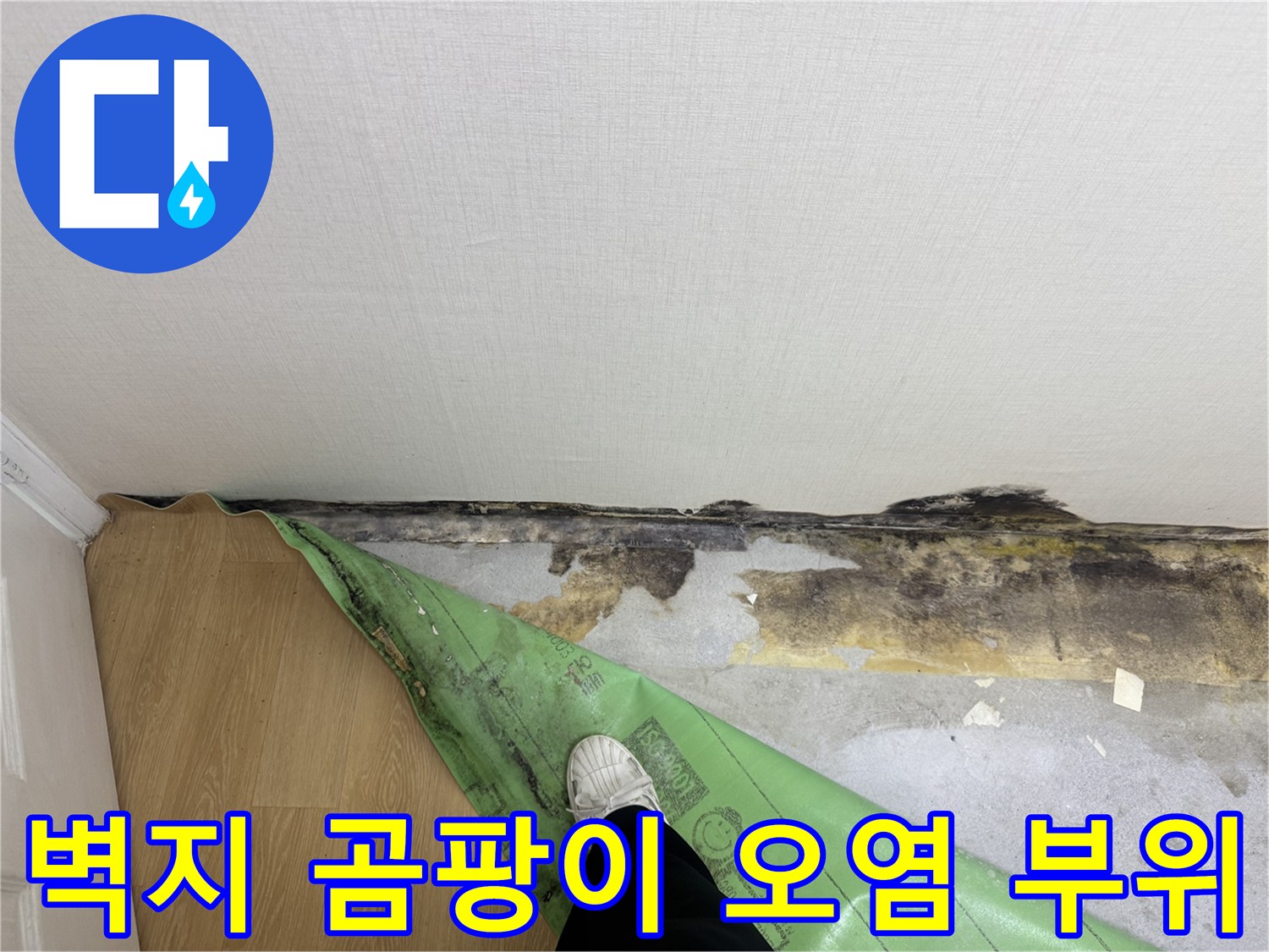 벽면-하단부의-심한-곰팡이-및-습기-침투-흔적