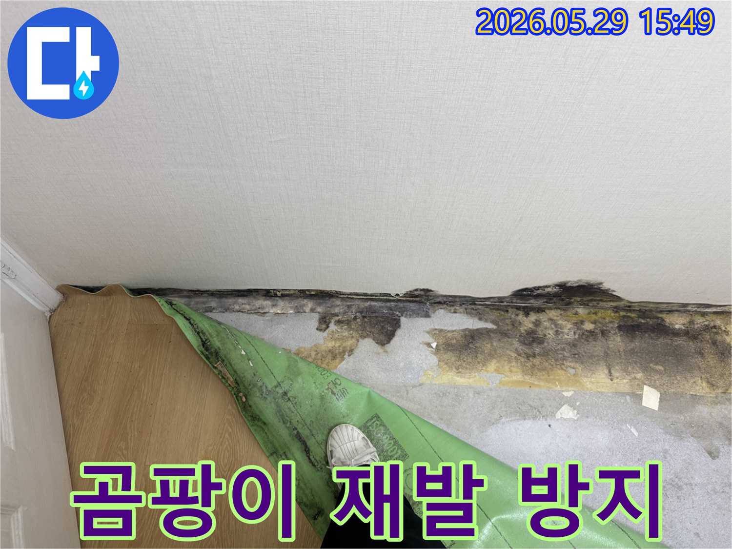 벽지 제거 후-드러난-누수로 인한-벽면의-심각한 곰팡이-상태입니다
