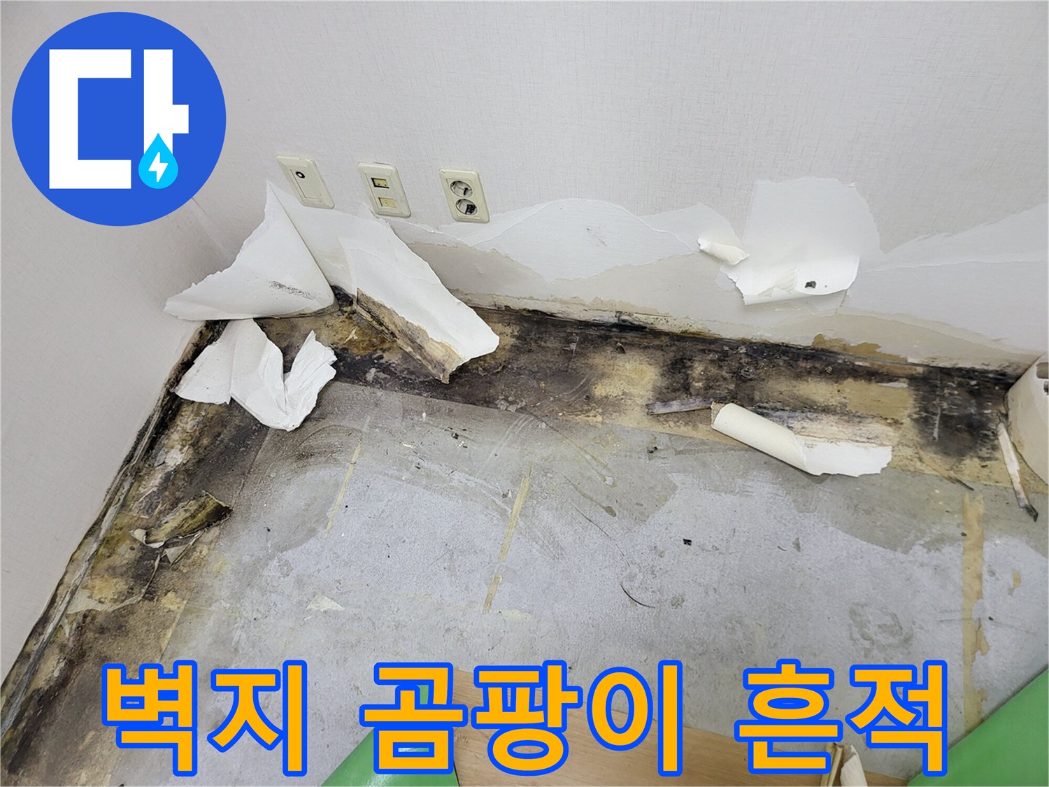 아파트 벽면-곰팡이가 발생한 벽지와 바닥 부위