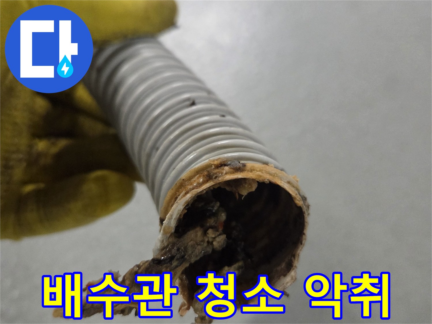 노란색 장갑을 낀 손이-악취 제거를 위해-청소 전 오염된 배수관을 보여줍니다.