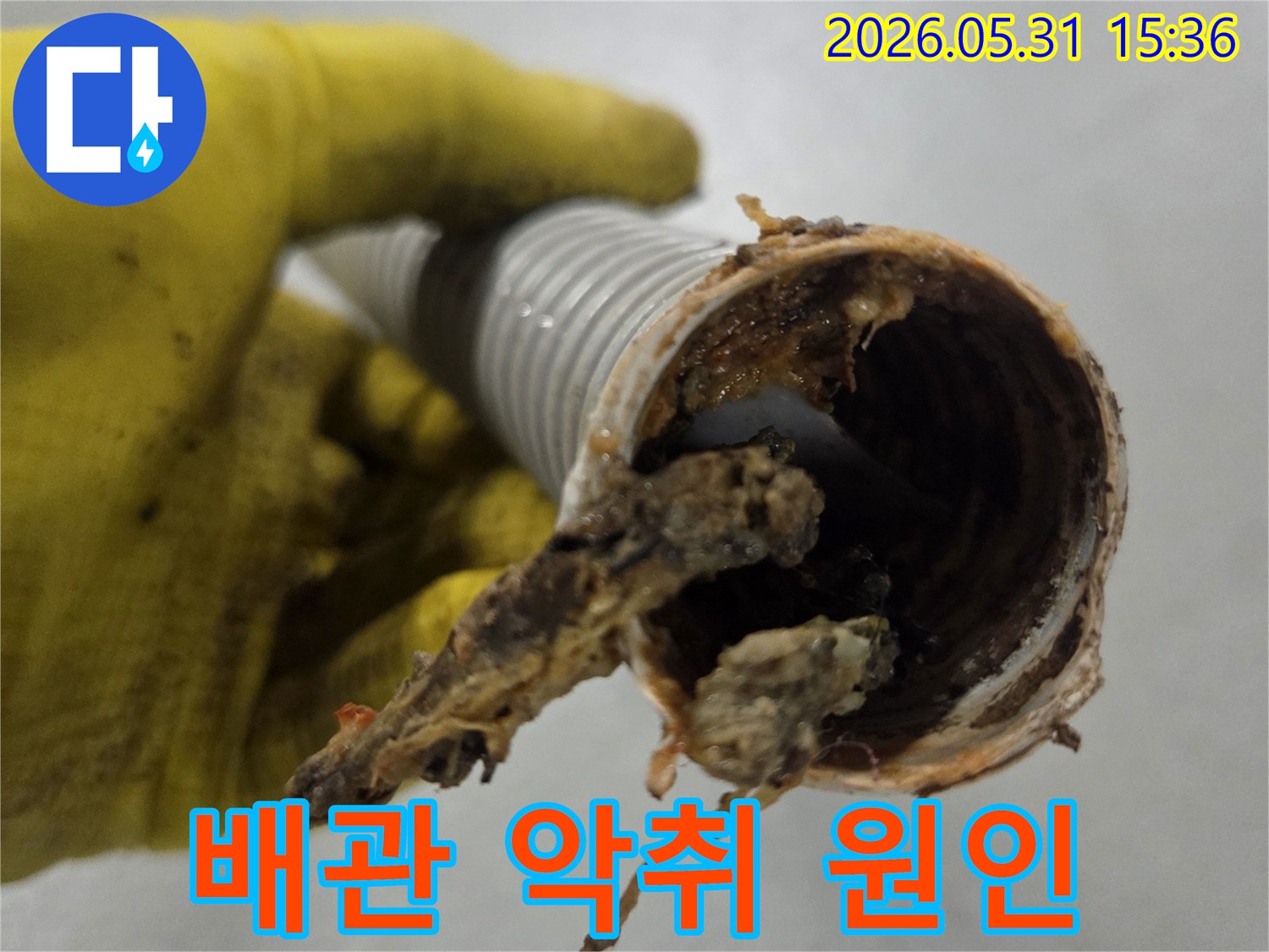 싱크대 배관 악취의-주범인-오래된 음식물 찌꺼기로-오염된 주름호스 내부
