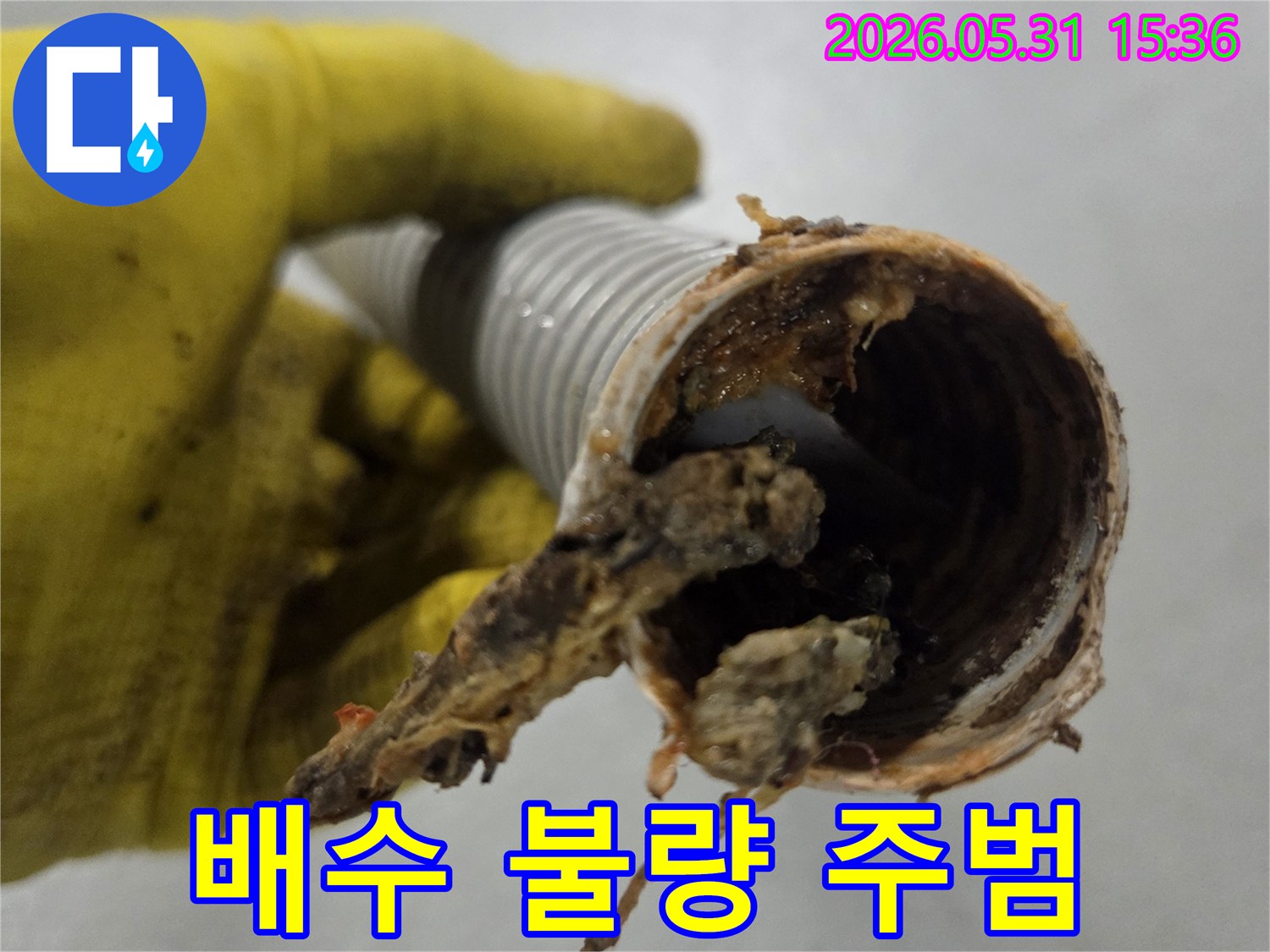 싱크대 배수 불량의-주요 원인인-음식물 찌꺼기로-가득 찬-주름호스 내부