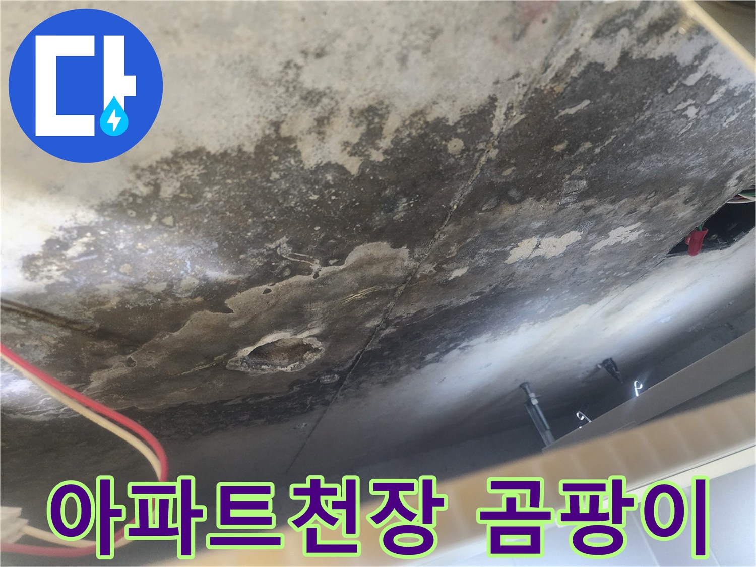 아파트 아랫집 천장에 발생한 누수 흔적-곰팡이와 물자국이 윗집으로부터의 누수를 명확히 보여주는 현장 사진입니다.