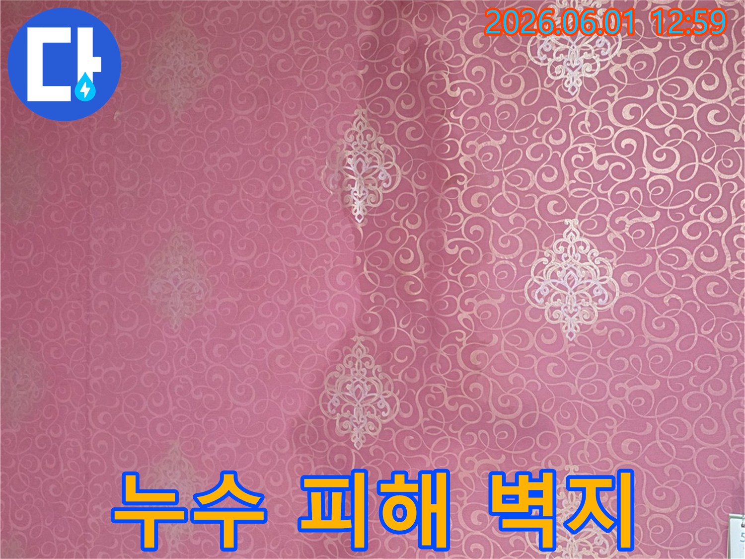 천장 벽지 젖음-신속한 조치가 필요한 누수 증상