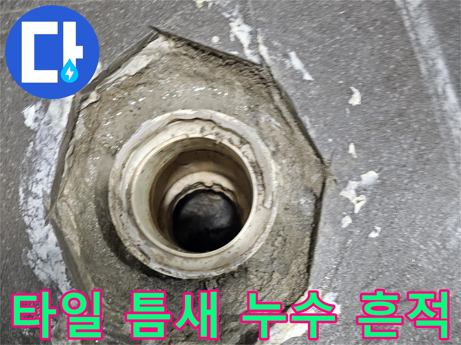 배수구-주변-타일-사이의-습윤한-상태