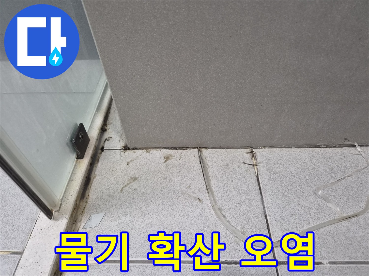 욕실-바닥-타일-틈새에서-물이-스며들어-타일-아래로-확산되어-오염된-상태를-보여주는-사진