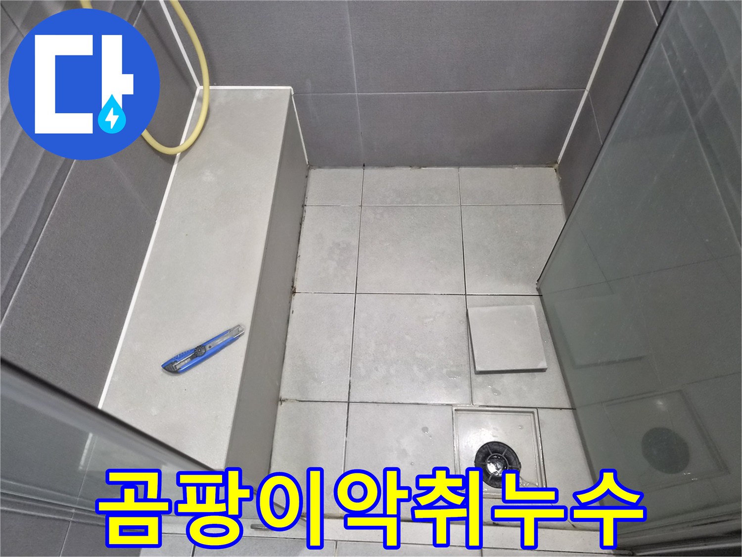 욕실-바닥-타일과-배수구-주변을-점검하며-누수로-인한-곰팡이와-악취-원인을-찾아-동시에-해결하기-위한-작업-현장-사진입니다.
