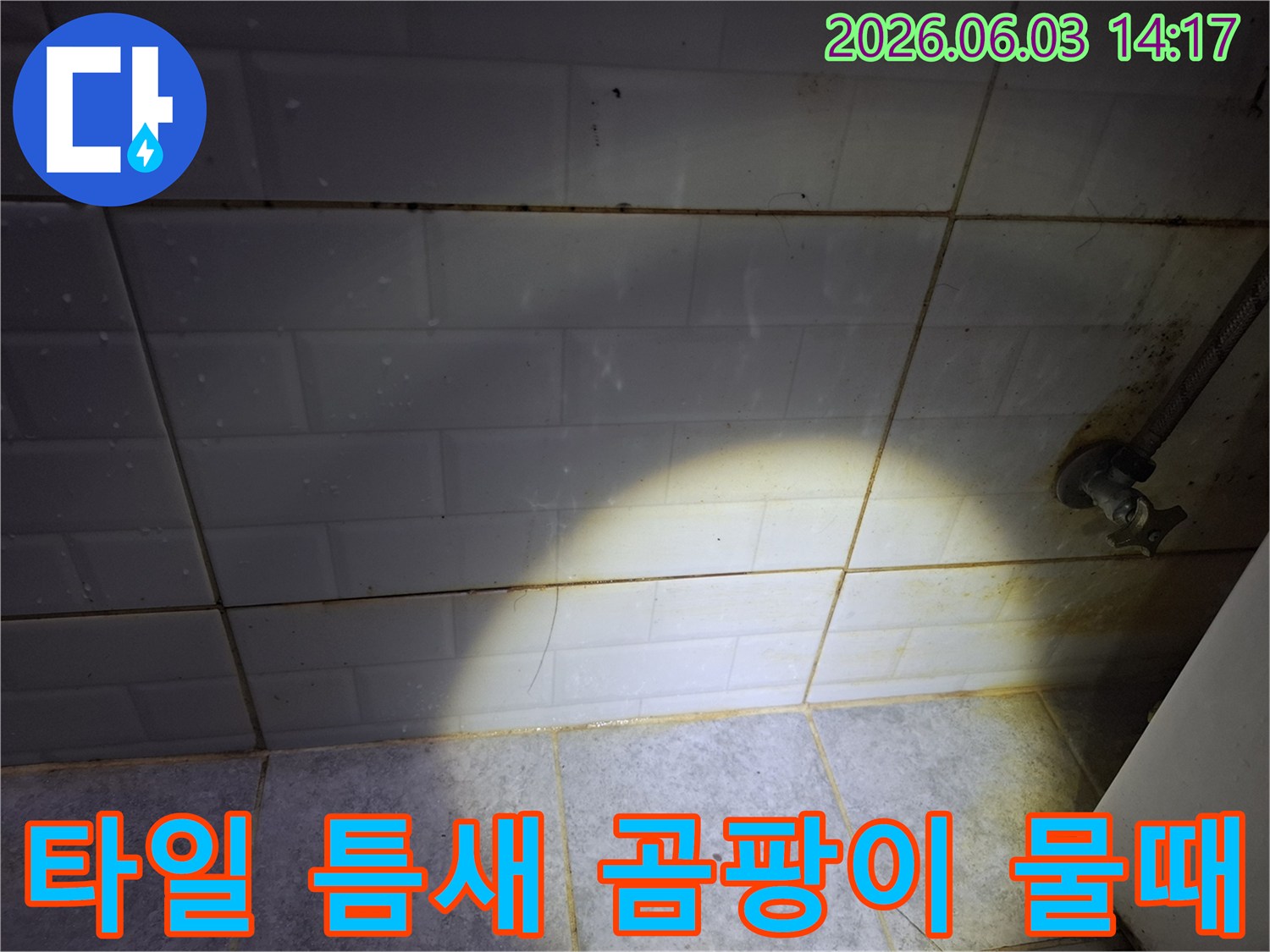 아파트-욕실-타일-틈새-곰팡이-물때-누수-흔적-확인-전문가-진단
