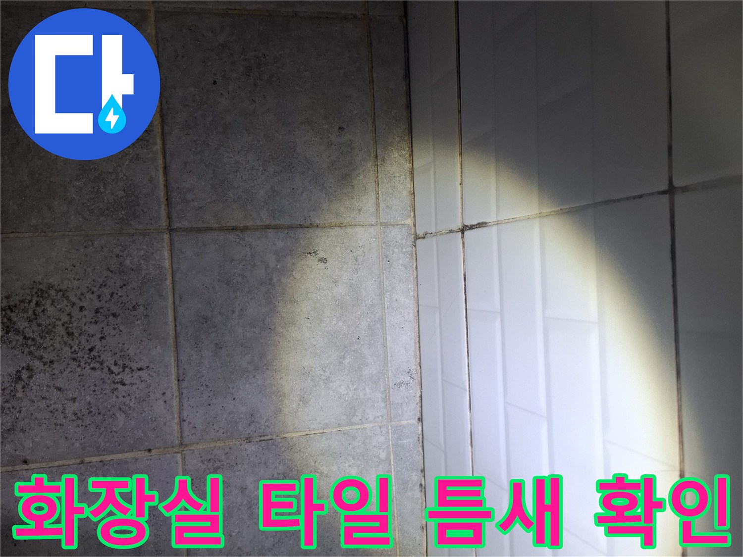 영등포구 현장-화장실 바닥 타일 사이의 균열과 틈새 상태를 확인하는 모습