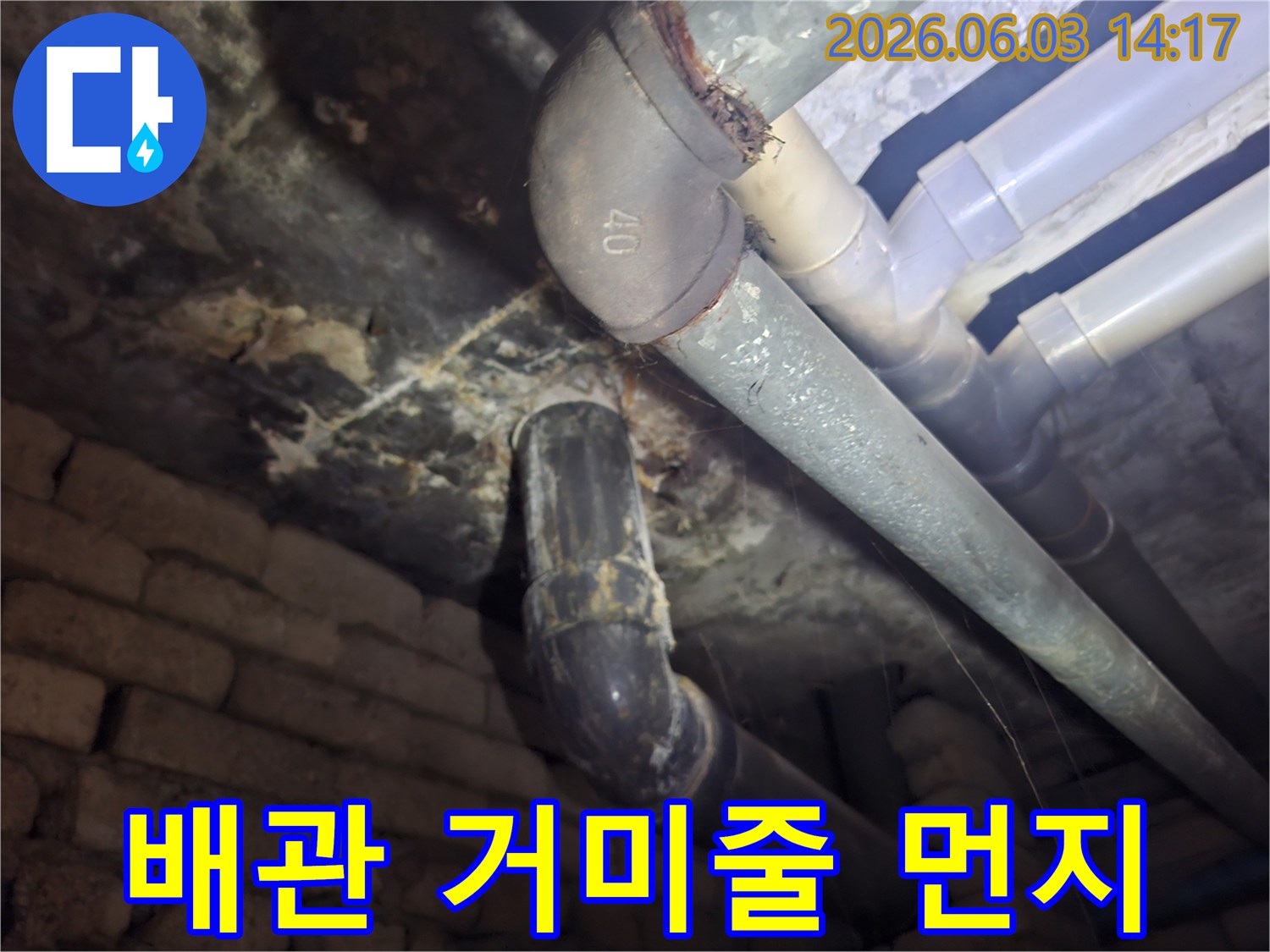 지하 배관 주변에 쌓인 거미줄과 먼지를 통해-오랜 기간 방치된 누수 문제를-전문가가 확인하는 모습