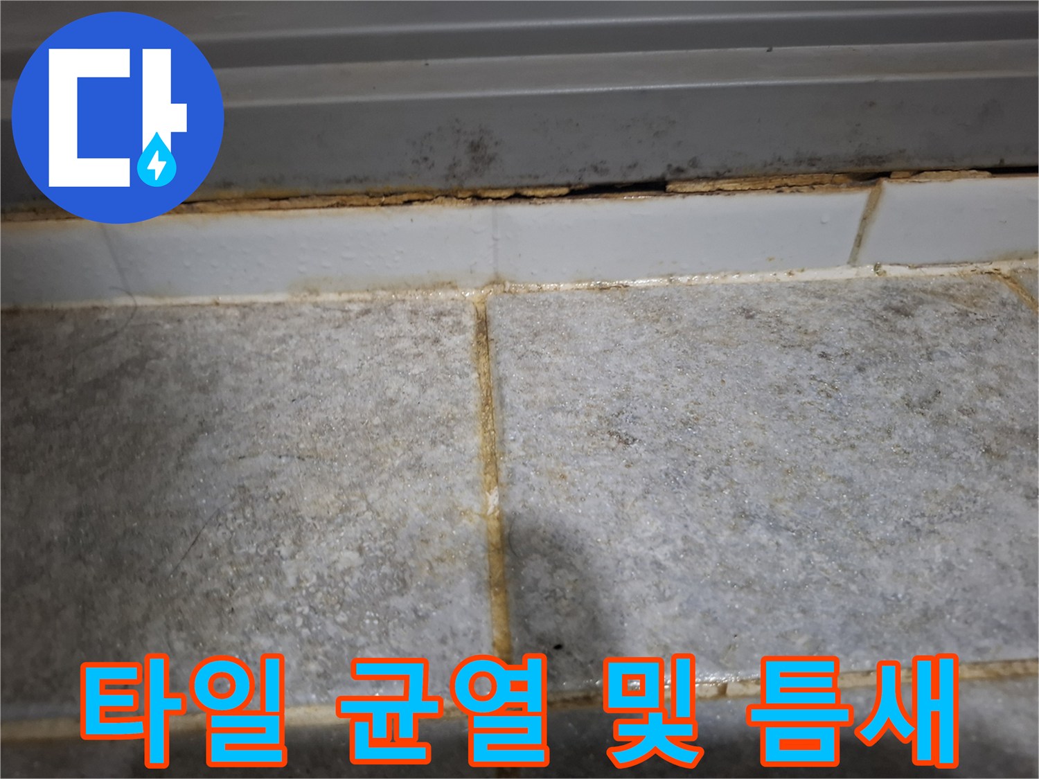 화장실-바닥-타일-사이-균열-및-탈락-부위