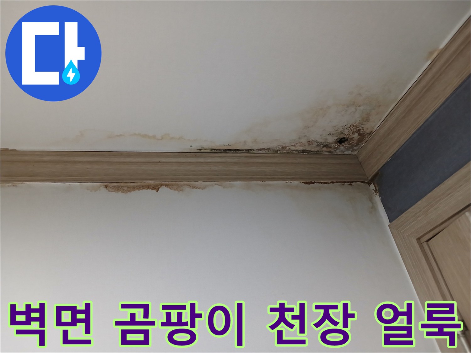 경기 평택-아파트 아랫집 벽면과 천장에-광범위하게 퍼진-누수 곰팡이와-심한 물 얼룩