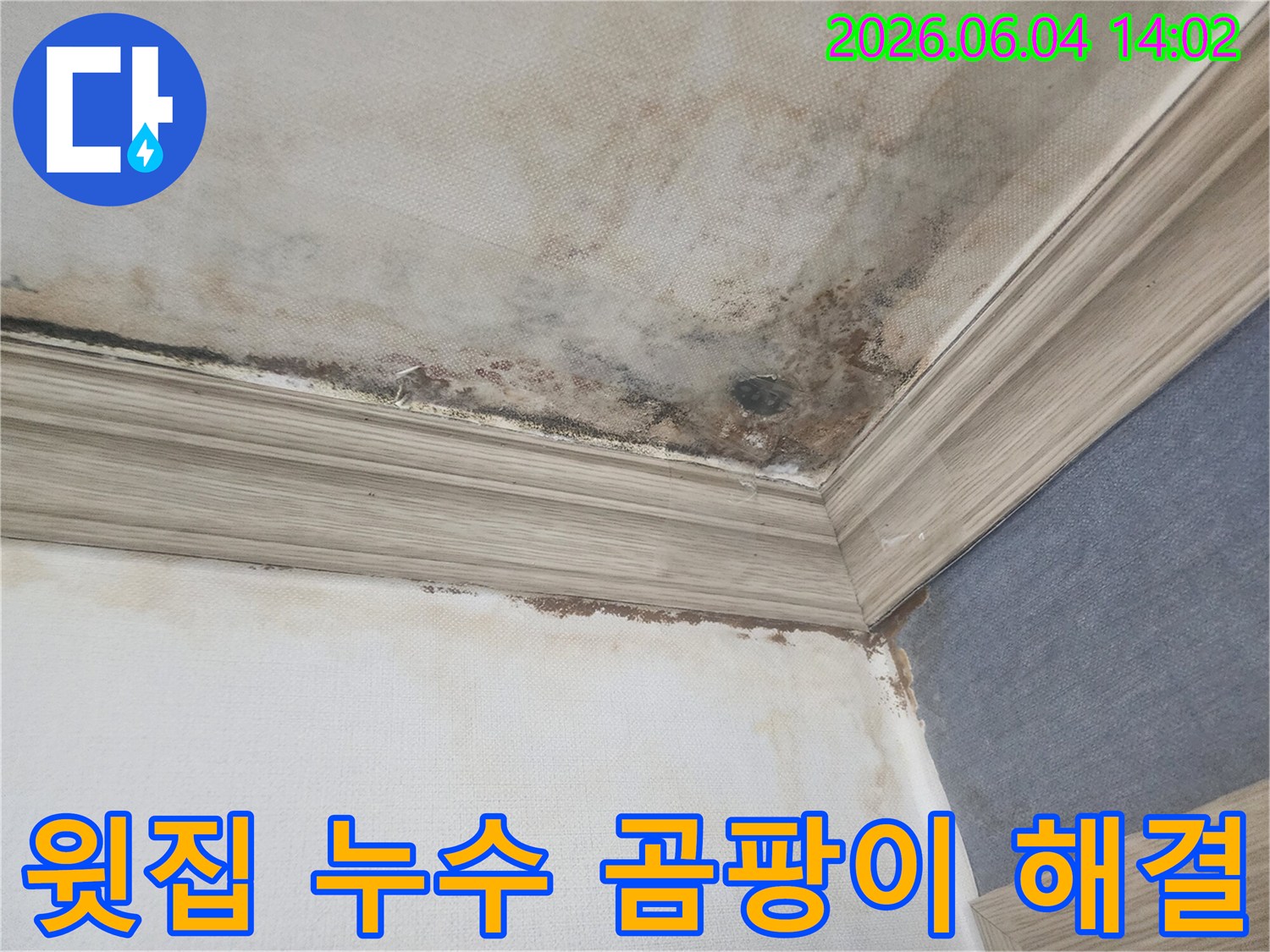 아파트 천장 모서리에-윗집 누수로 인해 발생한-검은 곰팡이와 물자국이 보이는-피해 현장 사진