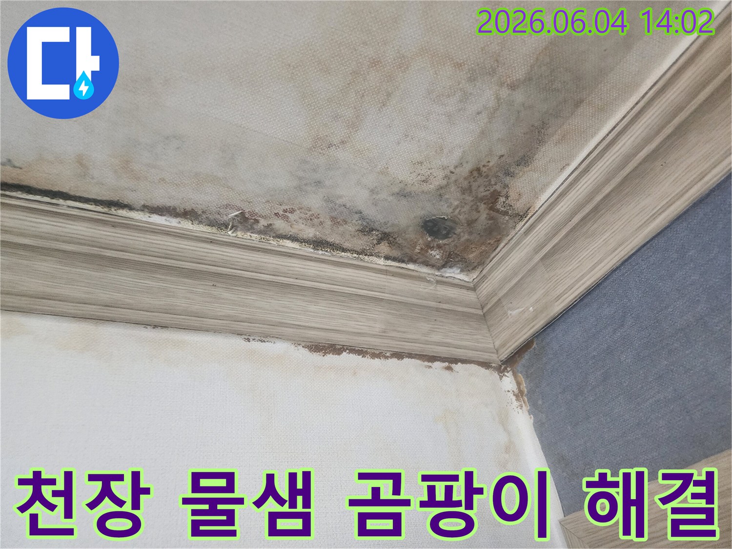 주택 천장과 벽이 만나는 지점에-누수로 인한 물샘과-검은 곰팡이가 심하게 발생한-피해 현장 사진