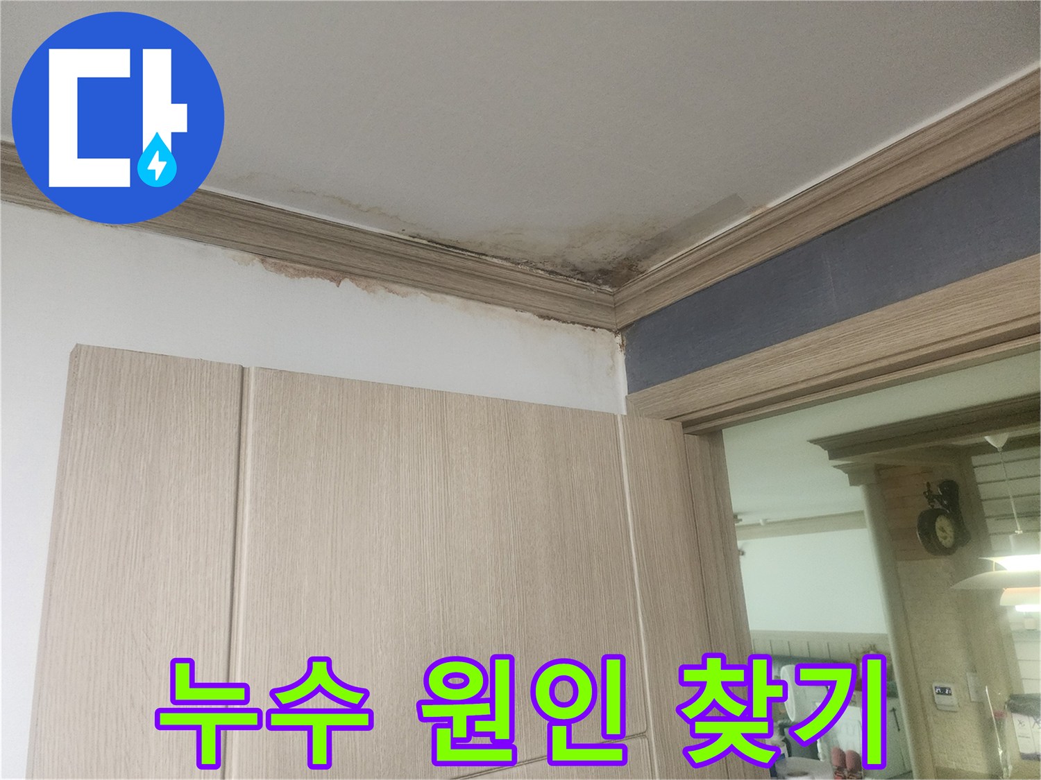 천장-모서리-부분에-발생한-누수-얼룩과-곰팡이-피해로-원인-탐지가-시급합니다.